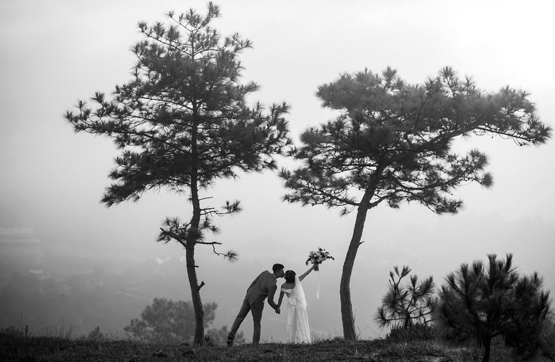 Majestic Pine Retreat